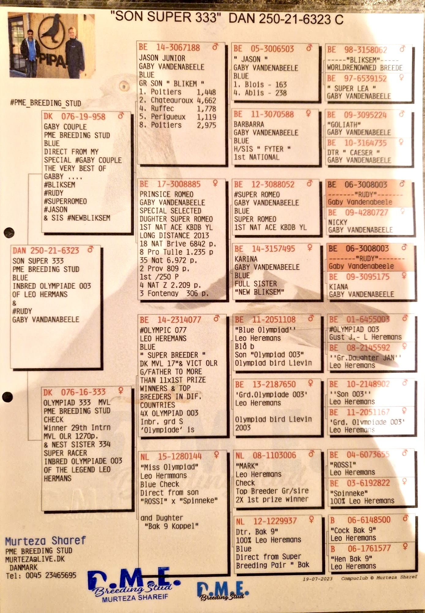 DAN250-21-6323 ERKEK / GABY VANDENABELEE / LEO HEREMANS 