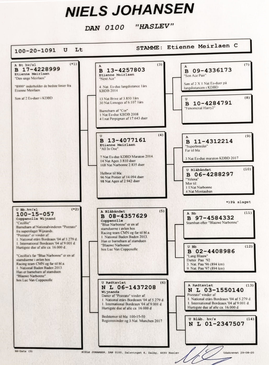 DK100-20-1091  DİŞİ /  BABASI ETIENNE MEİRLAEN ANNESİ POZATO TORUNU