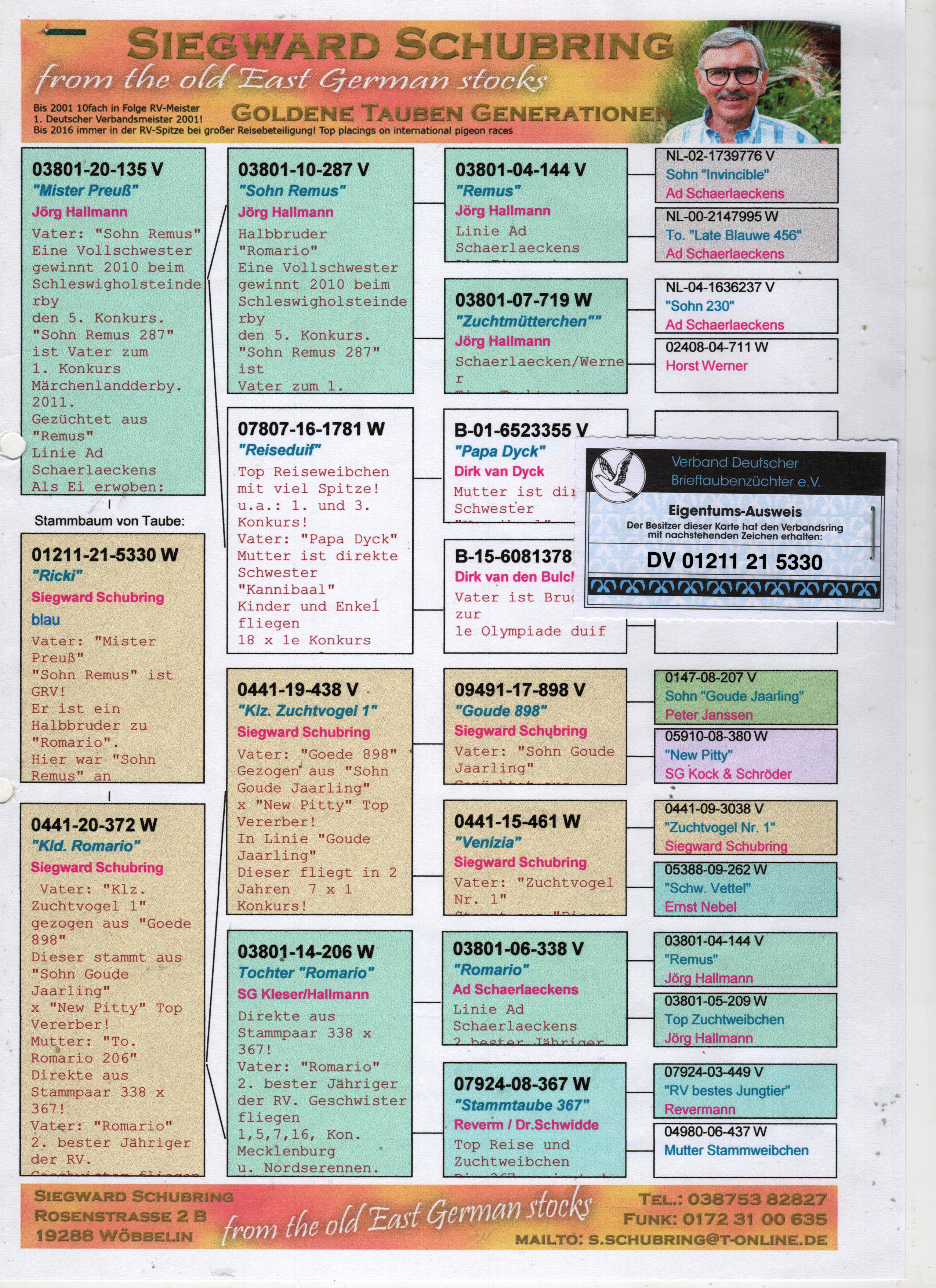 DV01211-21-5330 DİŞİ / JORG HALLMANN % 75 ROMARIO
