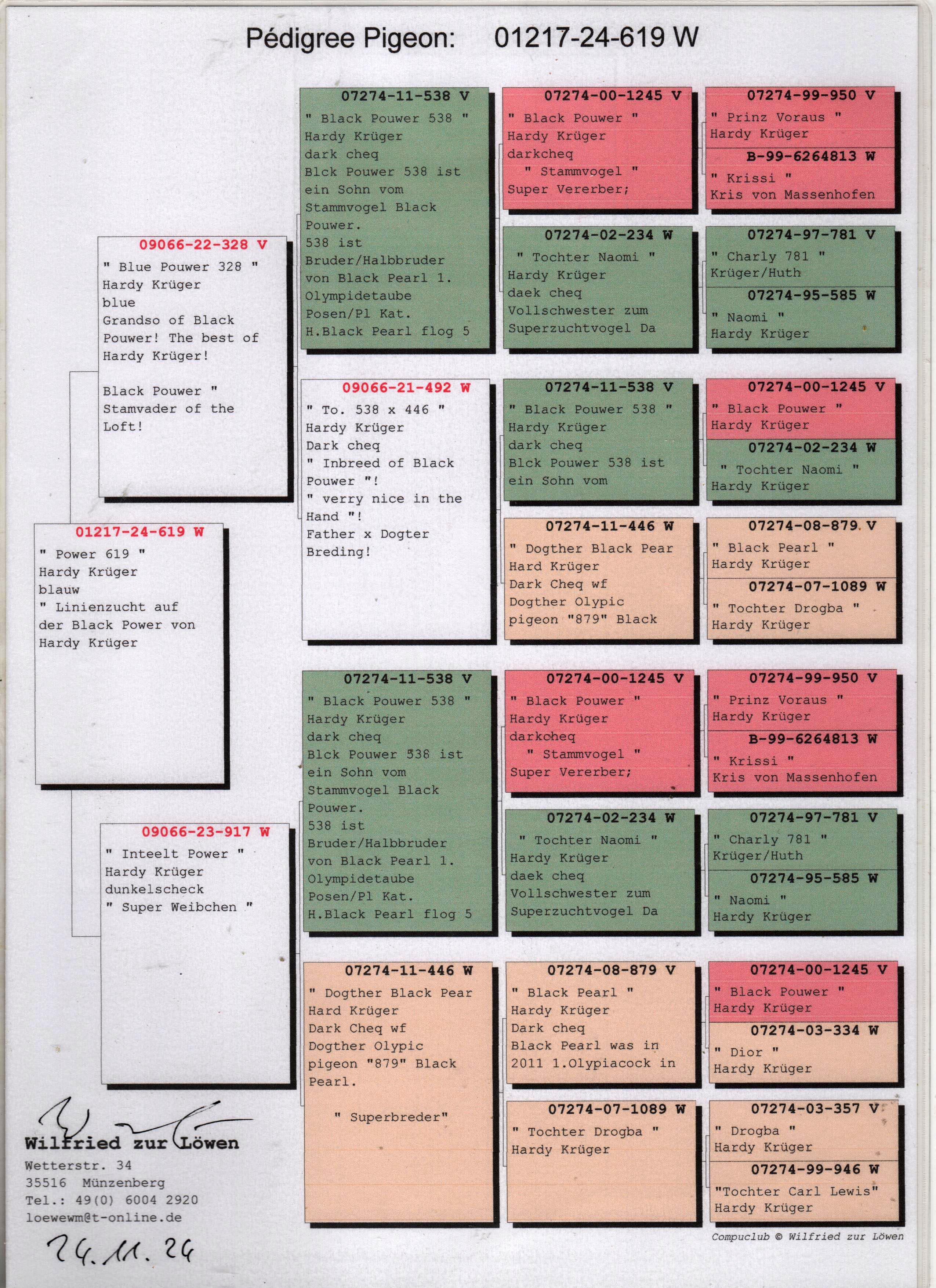 DV01217-24-619 DİŞİ / HARDY KRUGER % 100