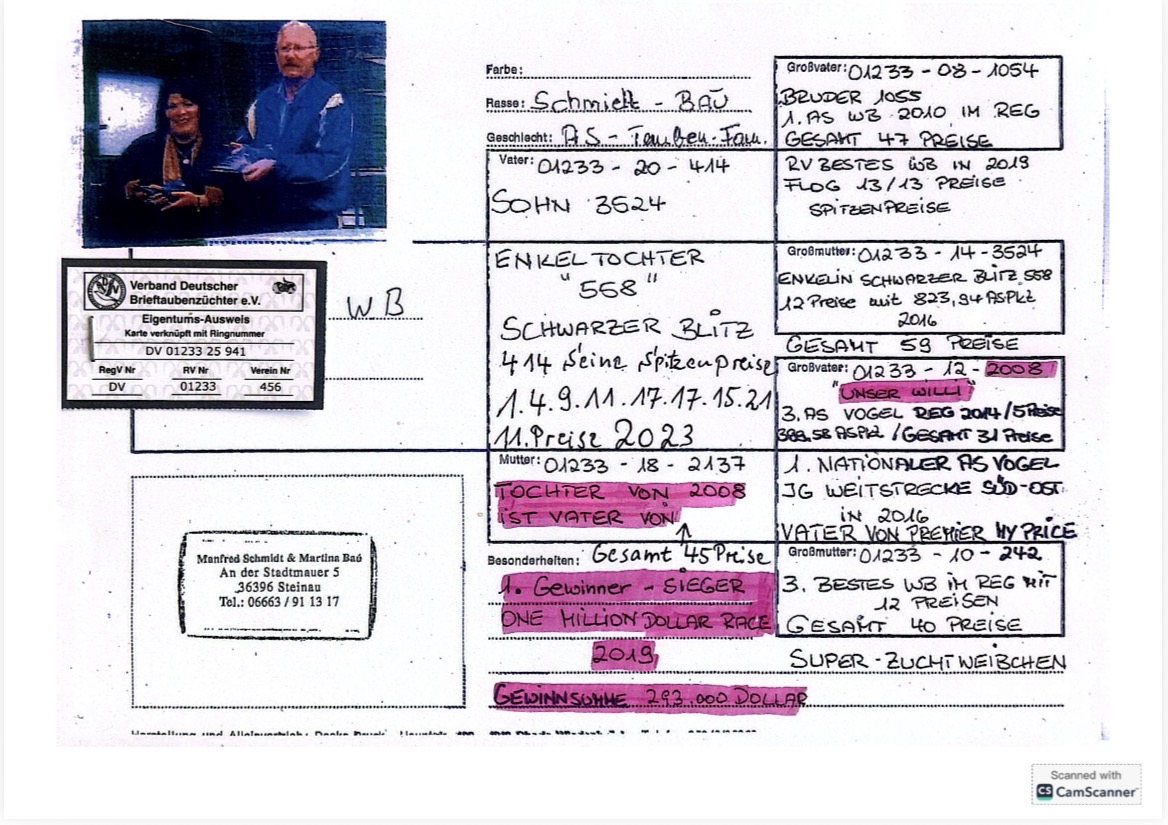 DV01233-25-941 DİŞİ / ANNESNİN KARDEŞİ (DAYISI ) PREMIER MY PRICE 