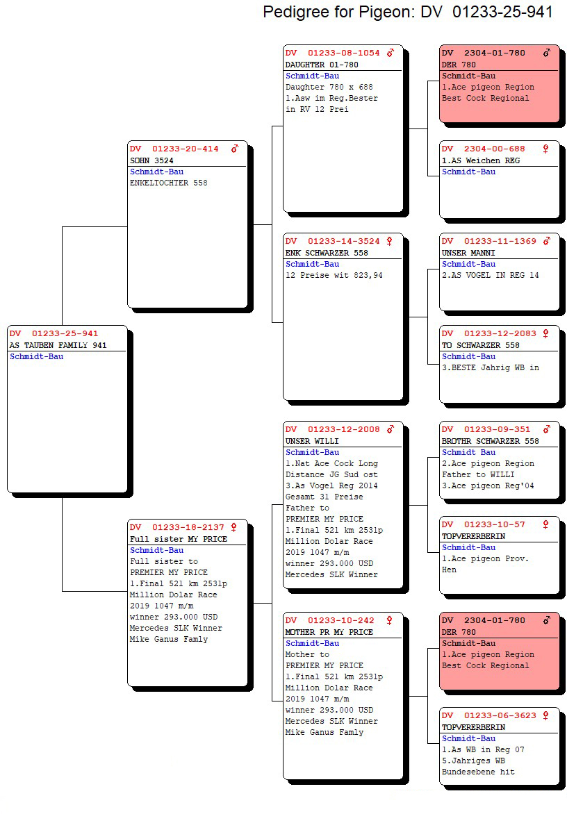 DV01233-25-941 DİŞİ / ANNESNİN KARDEŞİ (DAYISI ) PREMIER MY PRICE 