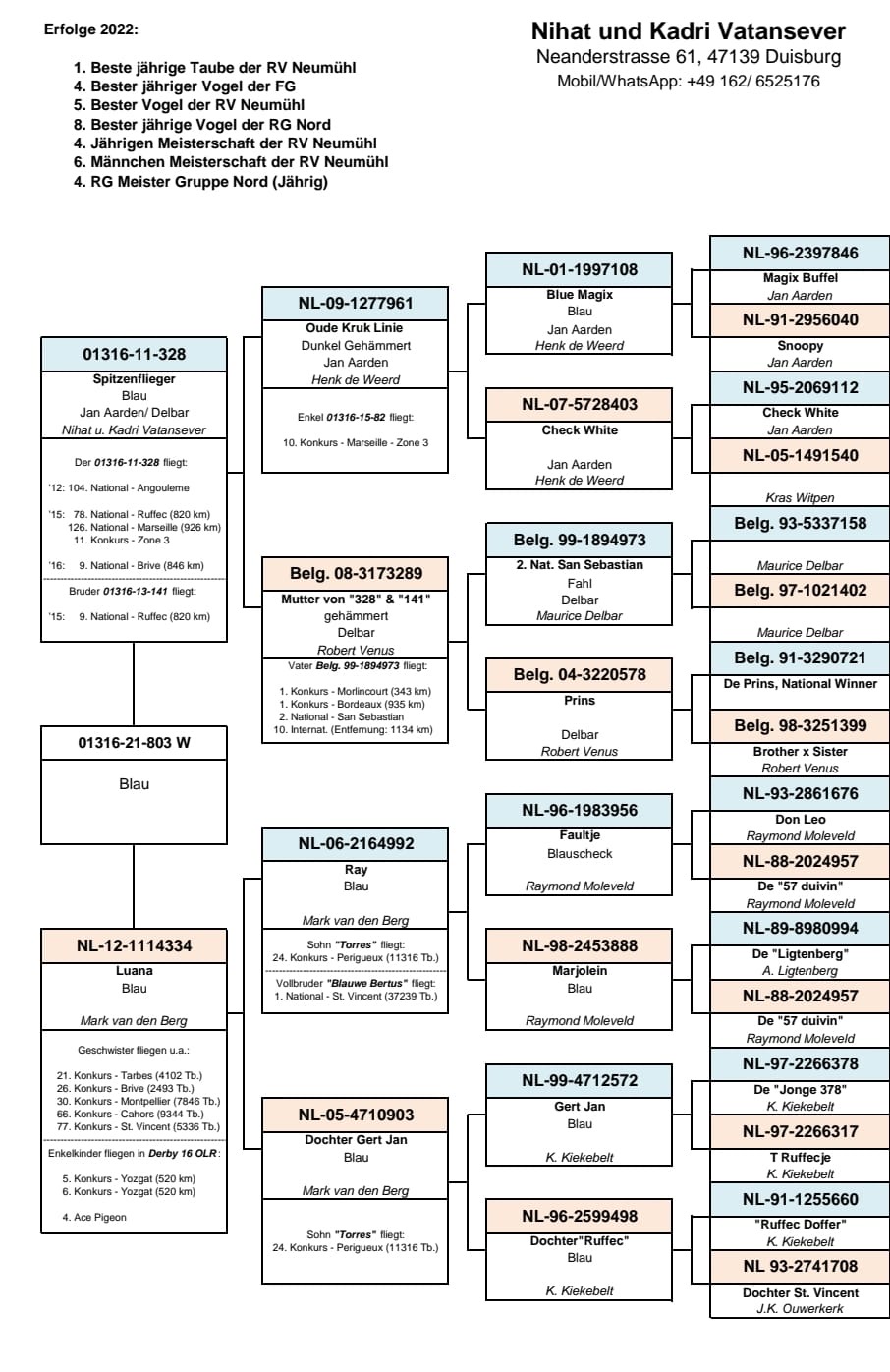 DV01316-21-803 DİŞİ / MARATON - AARDEN - DELBAR  