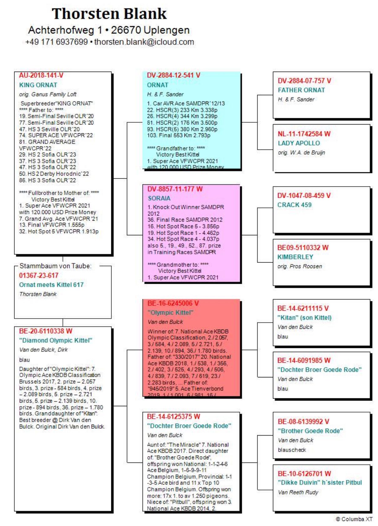 DV01367-23-617 ERKEK / THORSTEN BLANK - ORNAT SORİA TORUNU
