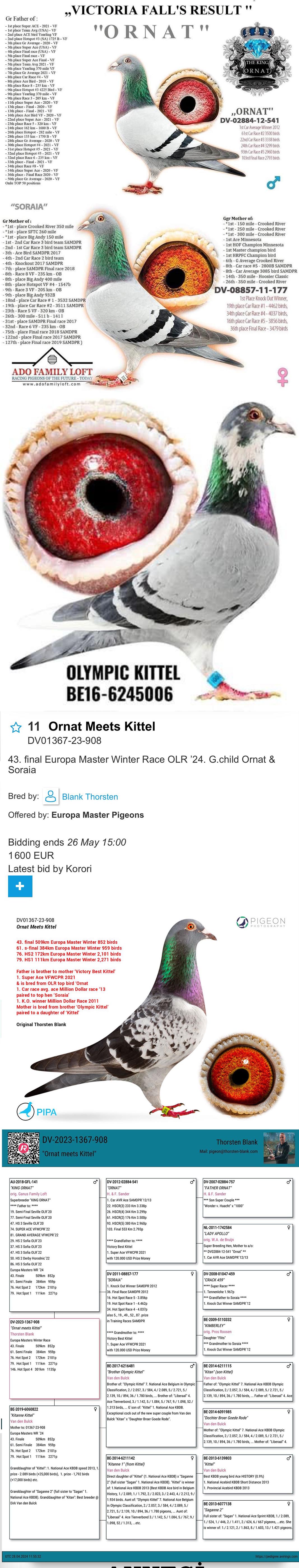 DV01367-23-617 ERKEK / THORSTEN BLANK - ORNAT SORİA TORUNU