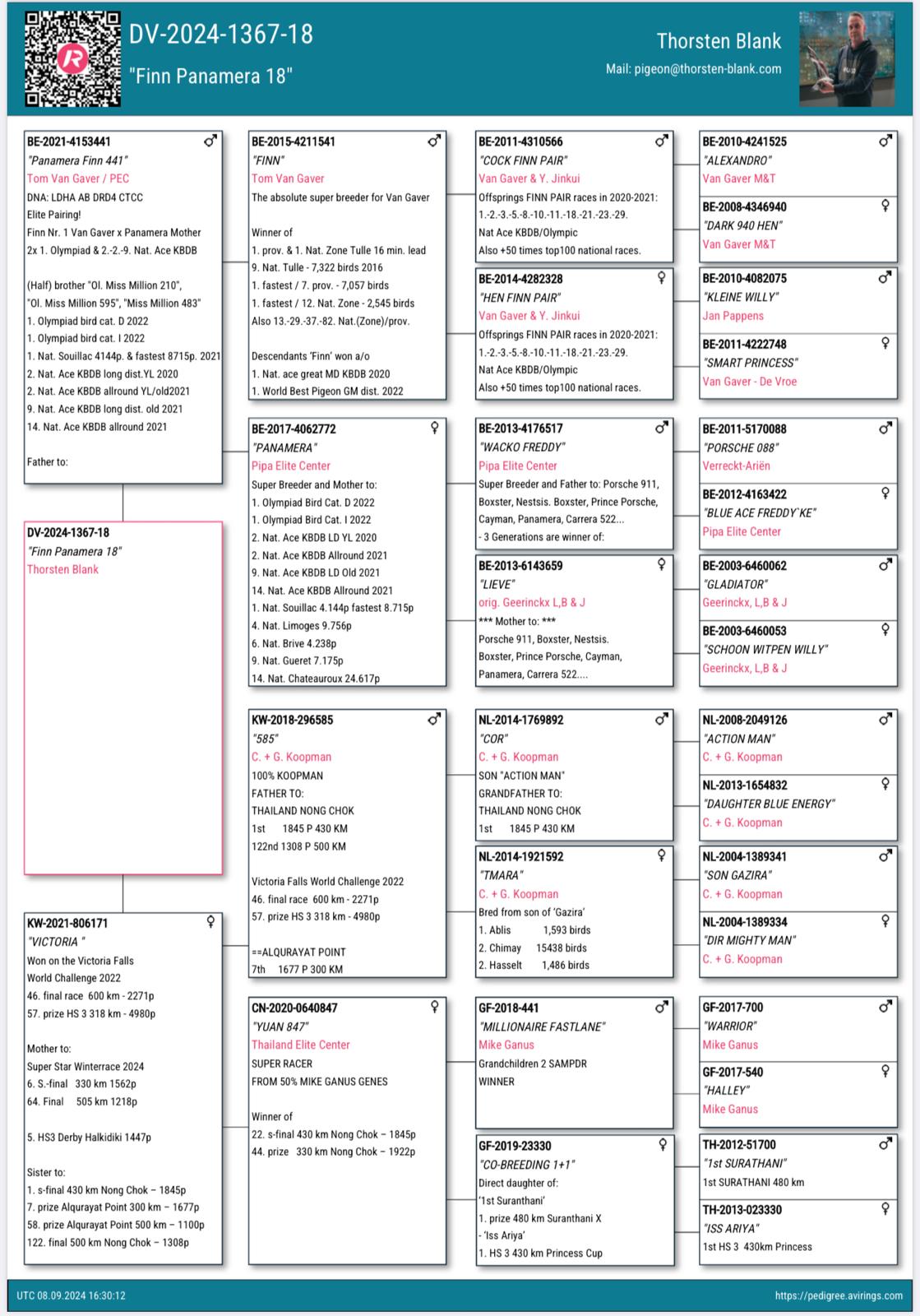 DV01367-24-18 ERKEK / FİNN TORUNU KENDİSİ YARIŞMIŞTIR ORTAK K&Uuml;MESTE