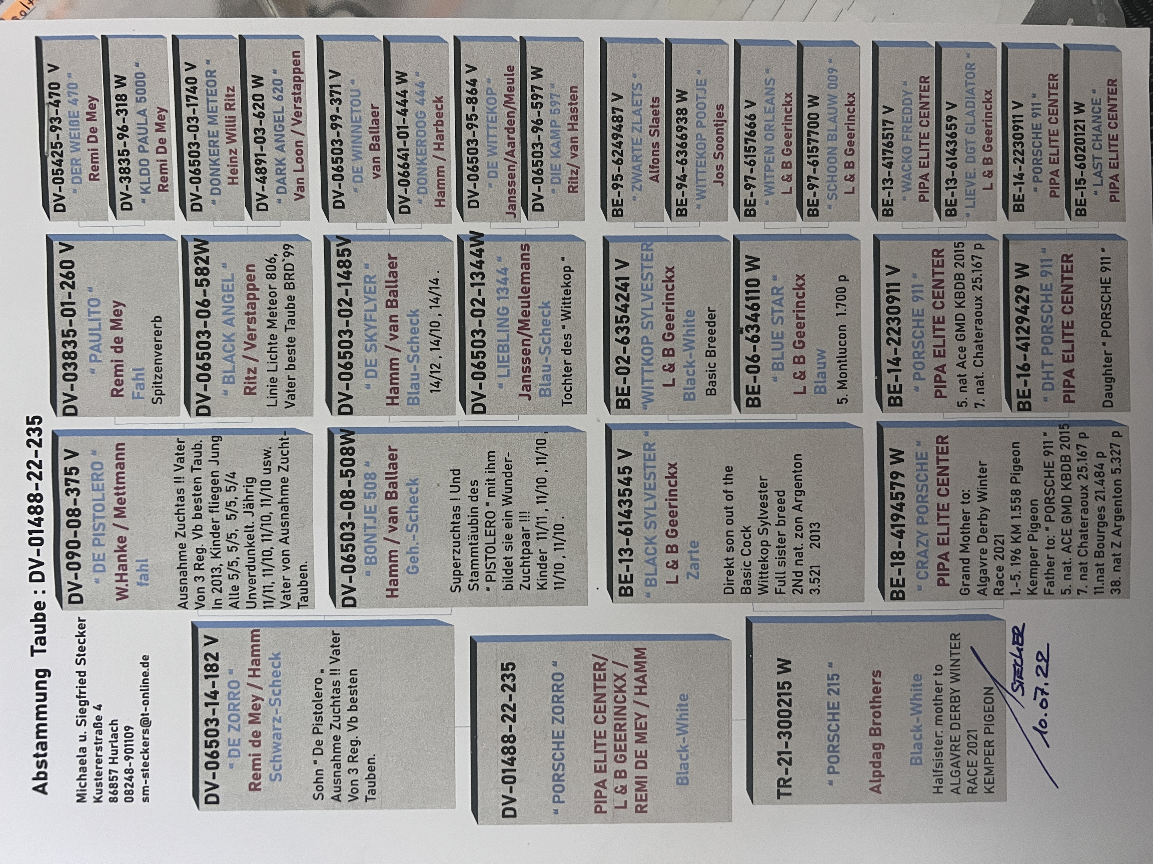 DV01488-22-235 ERKEK / DEDESİ PISTOLERO ANNESİ AKPDAG BROTHERS