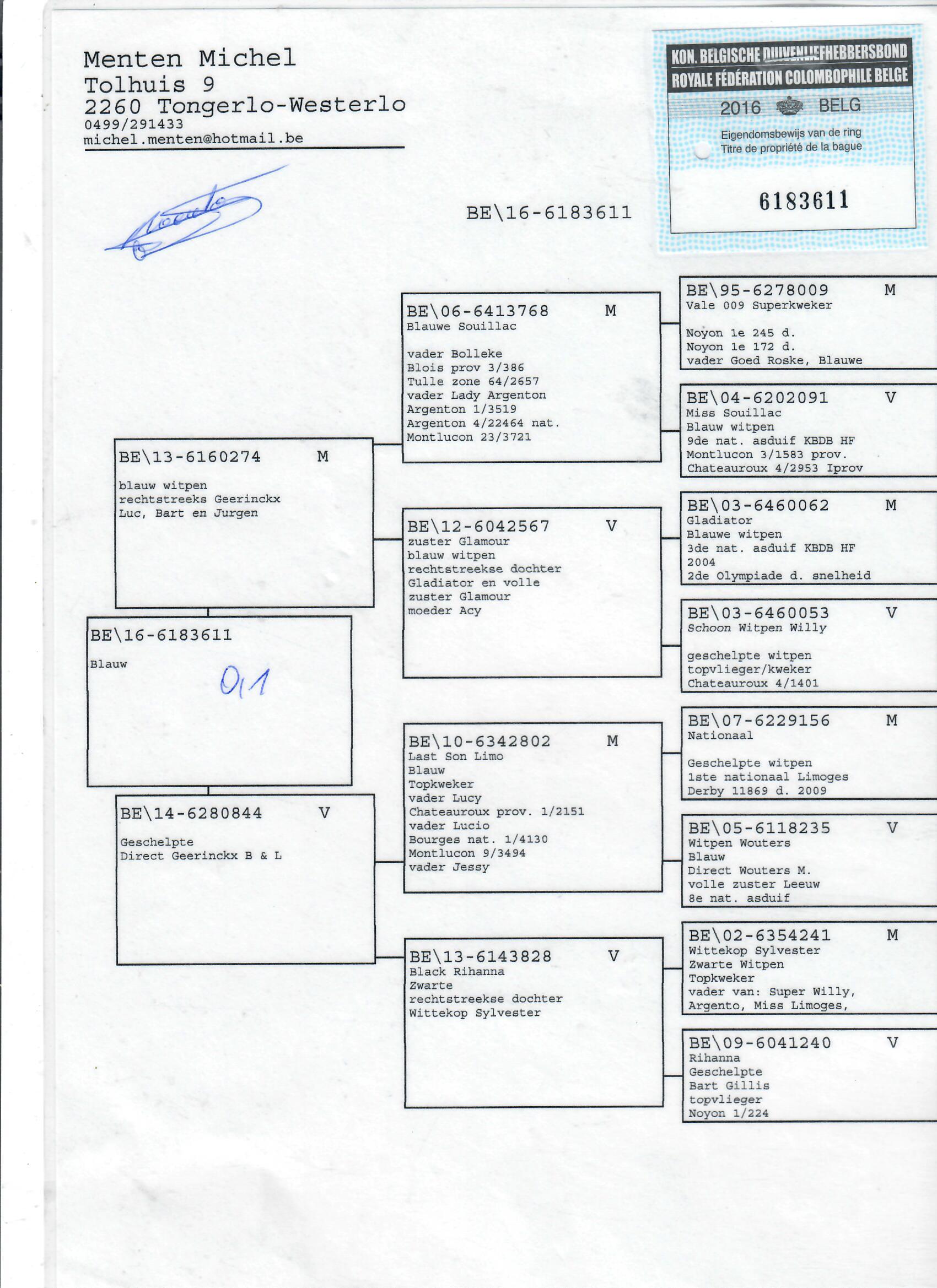 DV01697-17-1048 DİŞİ / L.B.& J. GEERINCKX % 100