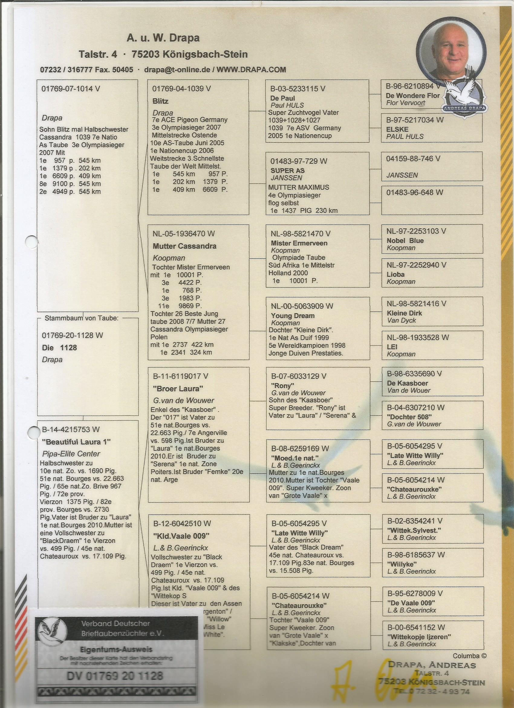 DV01769-20-1128 DİŞİ  /  BABADAN KARDEŞİ CASSANDRA - 1. OLYMPIC PİGEON POZNAN