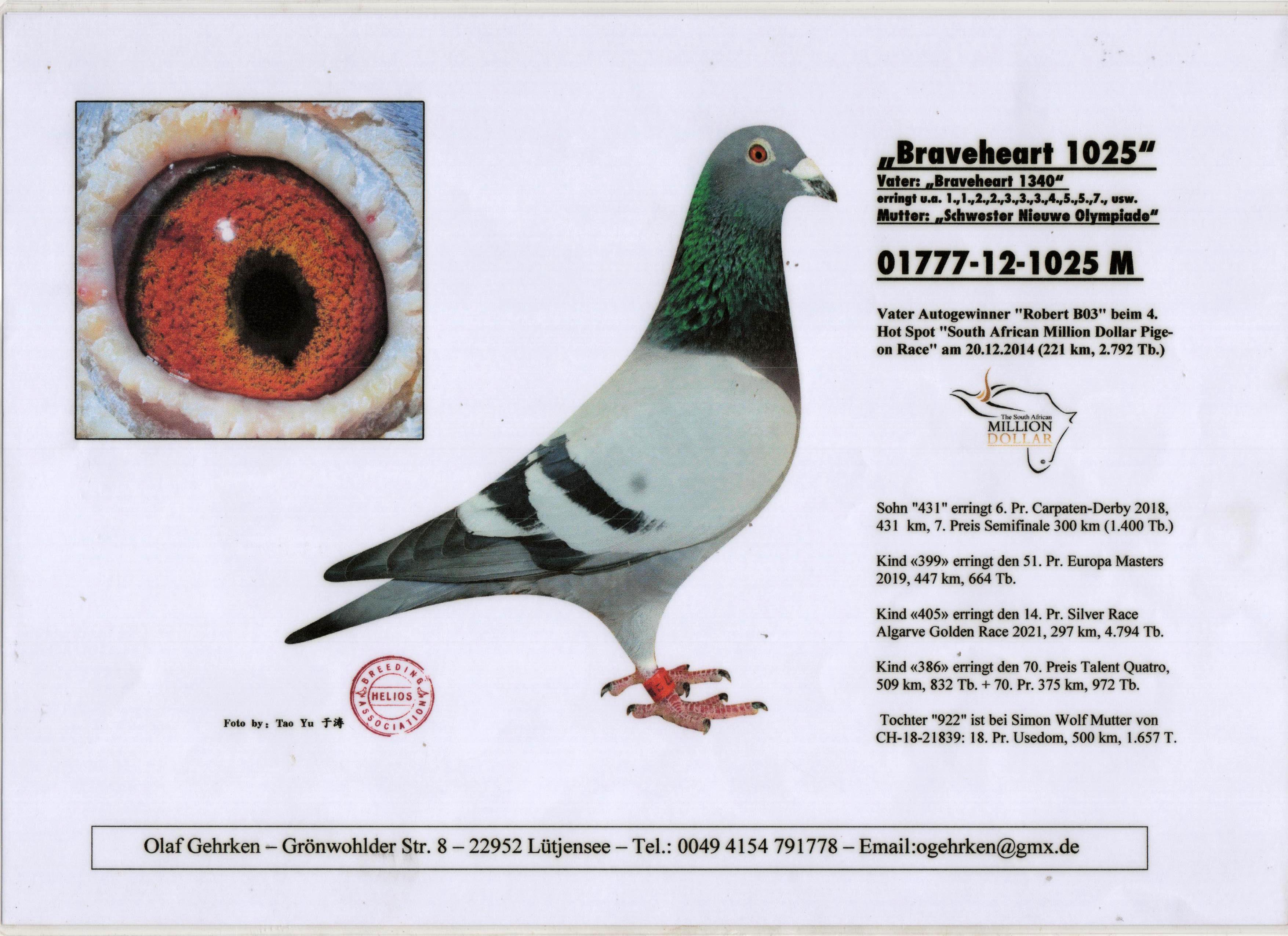 DV01777-21-147 ERKEK / ANNEDEN KARDEŞİ 46 FİNAL ALGARVE GOLDEN RACE