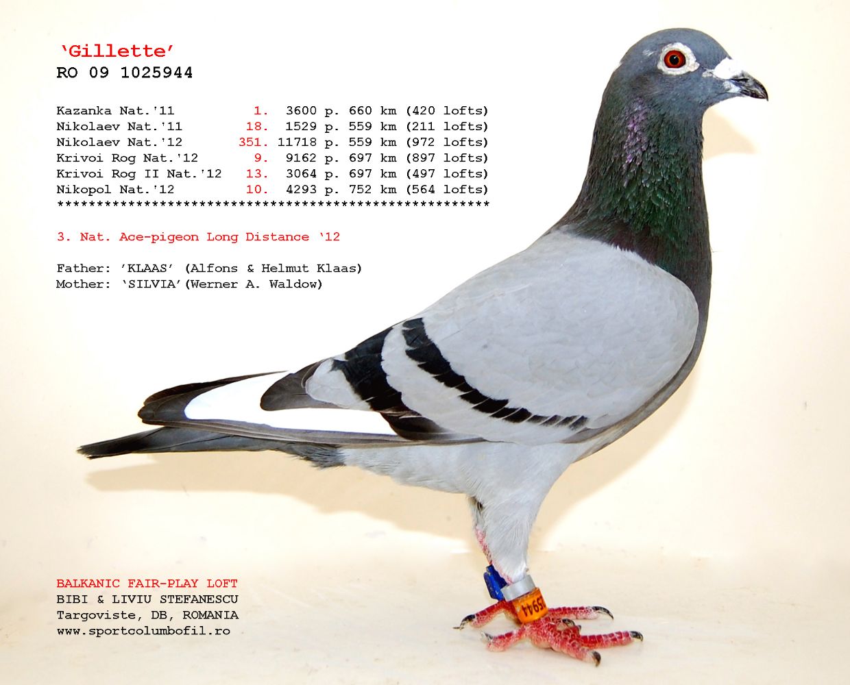DV01777-21-147 ERKEK / ANNEDEN KARDEŞİ 46 FİNAL ALGARVE GOLDEN RACE