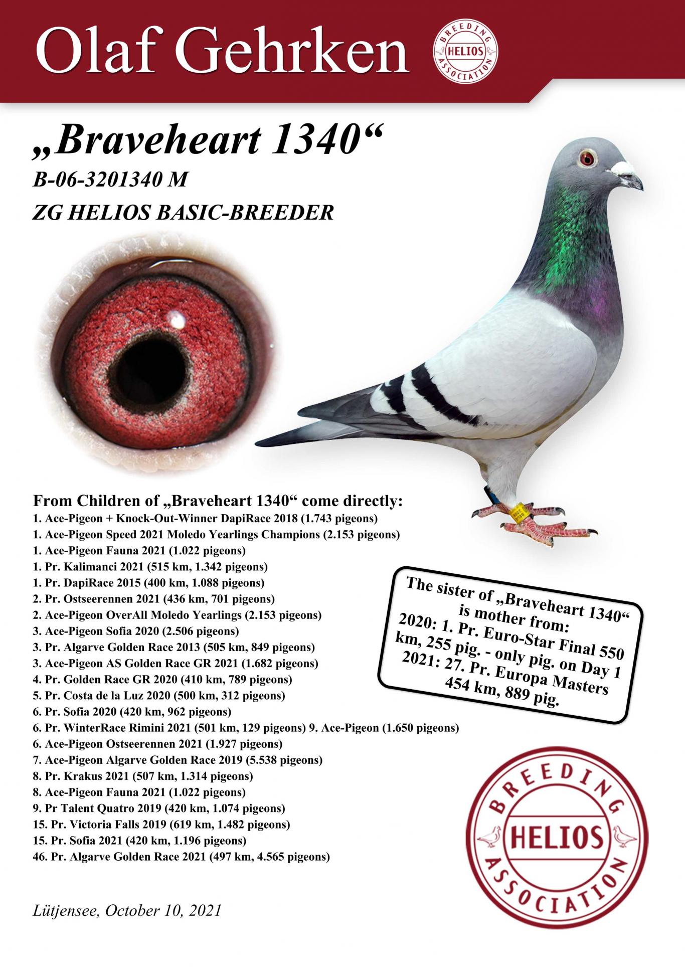 DV01777-21-147 ERKEK / ANNEDEN KARDEŞİ 46 FİNAL ALGARVE GOLDEN RACE