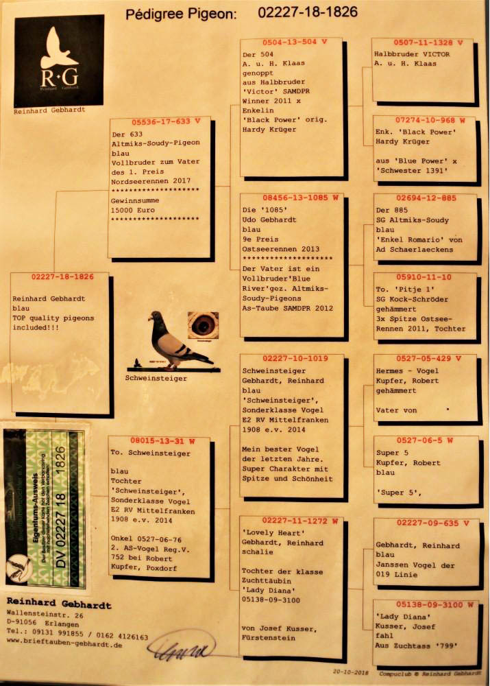 DV02227-18-1826 DİŞİ / BABASININ KARDEŞİNİN YAVRUSU 1 FİNAL RACE OLR 2017