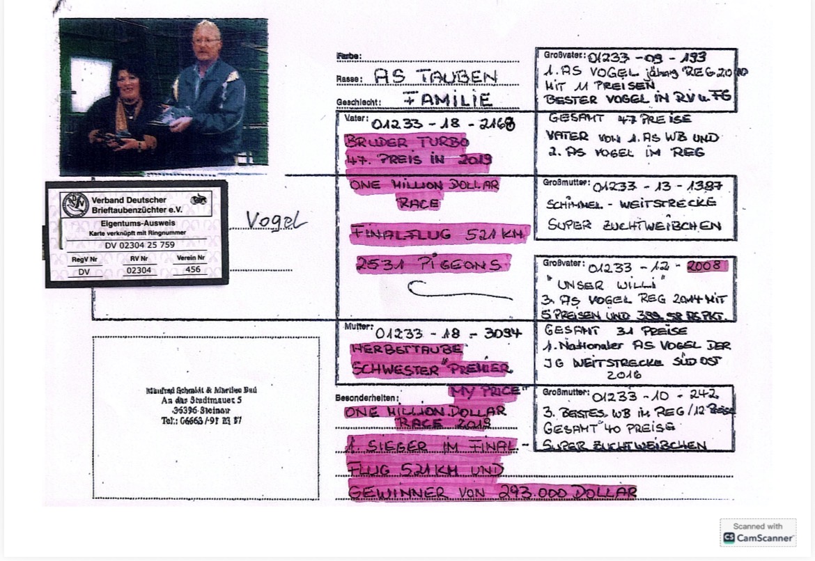 DV02304-25-759 ERKEK / KARDEŞİ 20 FİNAL DAYISI PREMIER MY PRICE 