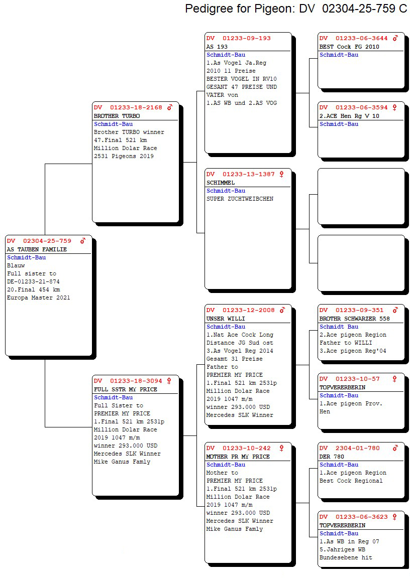 DV02304-25-759 ERKEK / KARDEŞİ 20 FİNAL DAYISI PREMIER MY PRICE 