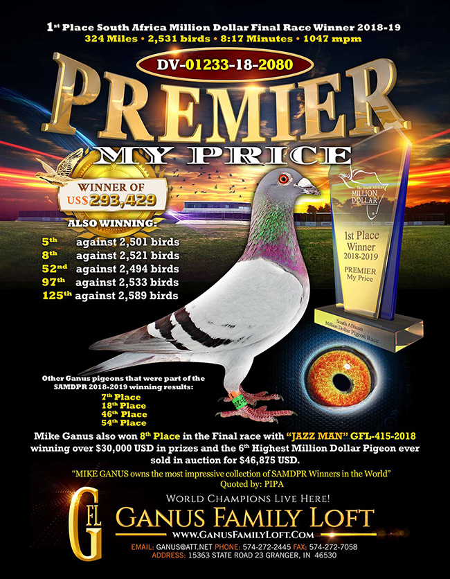 DV02304-25-759 ERKEK / KARDEŞİ 20 FİNAL DAYISI PREMIER MY PRICE 