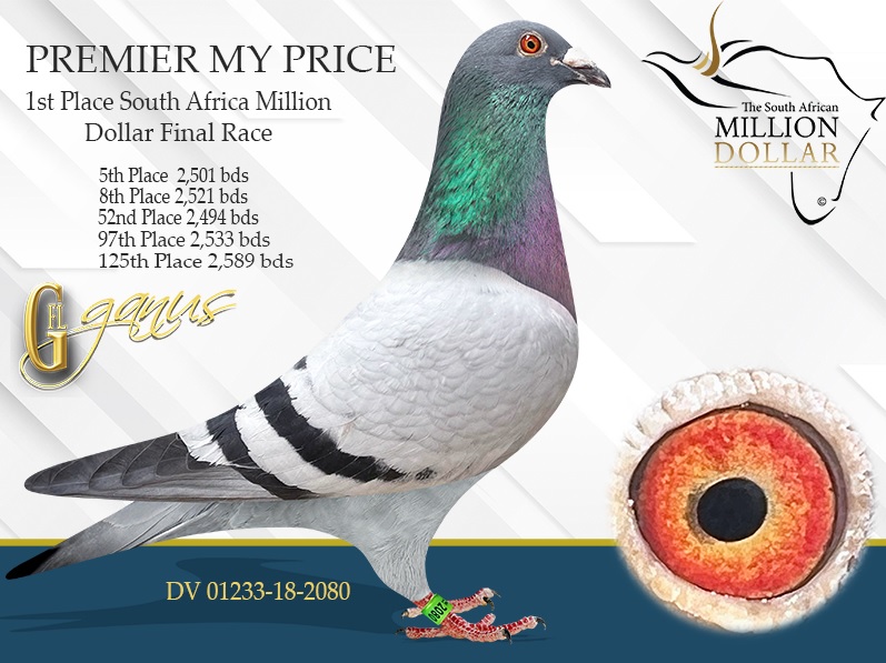 DV02304-25-759 ERKEK / KARDEŞİ 20 FİNAL DAYISI PREMIER MY PRICE 