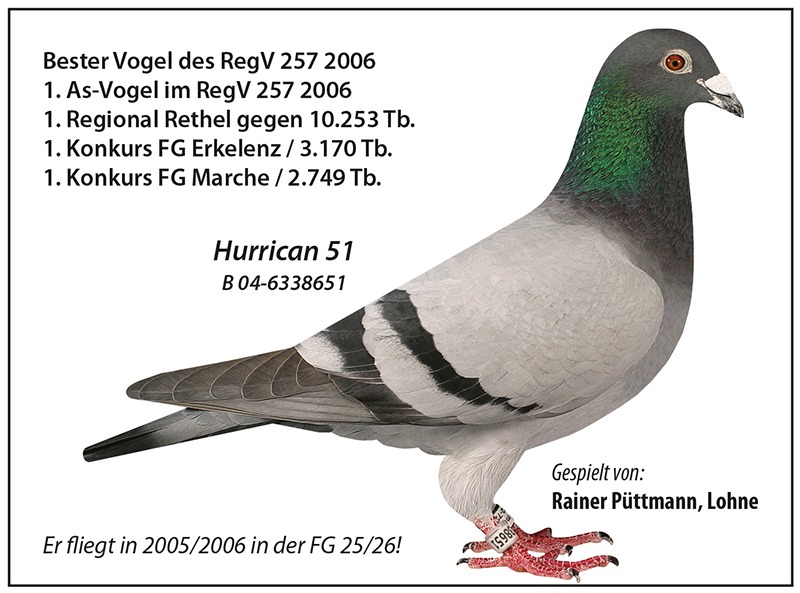 DV02593-20-784 ERKEK / INREED HURRICAN 51 ONE LOFT RACE KAZANAN SOY