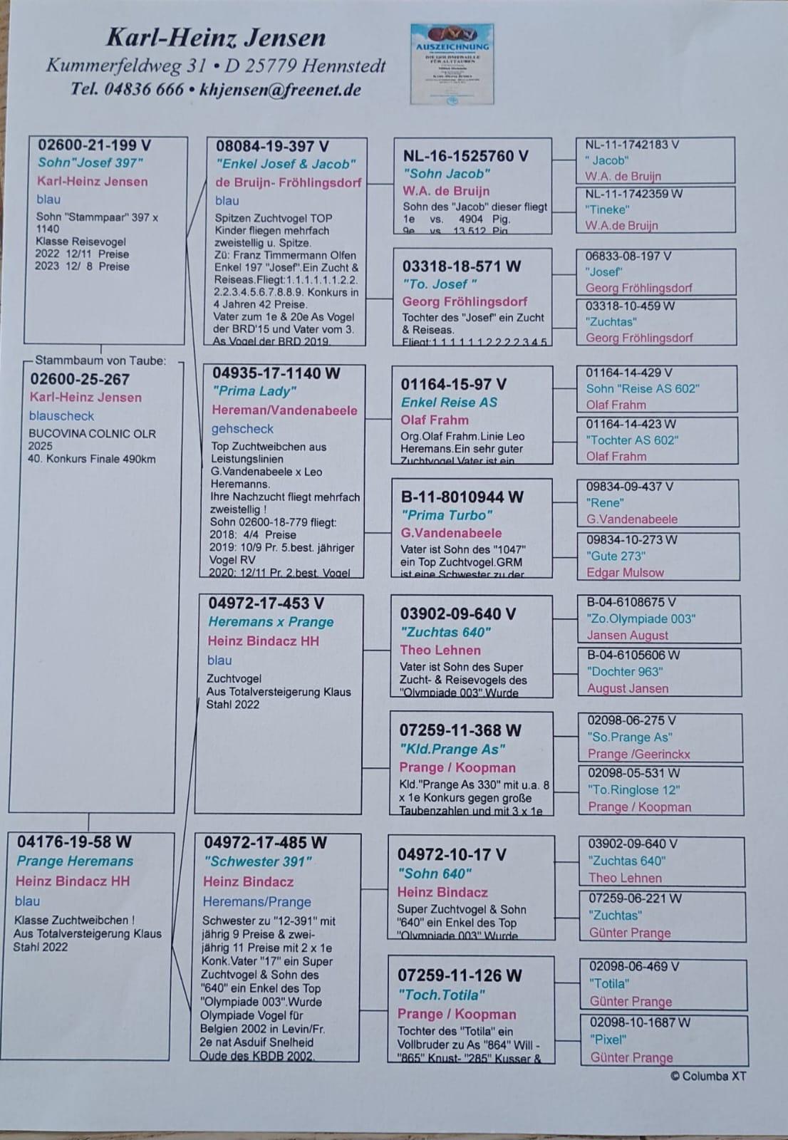 DV02600-25-267 ERKEK / KENDİSİ YARIŞMIŞ -  40 FİNAL 409 KM