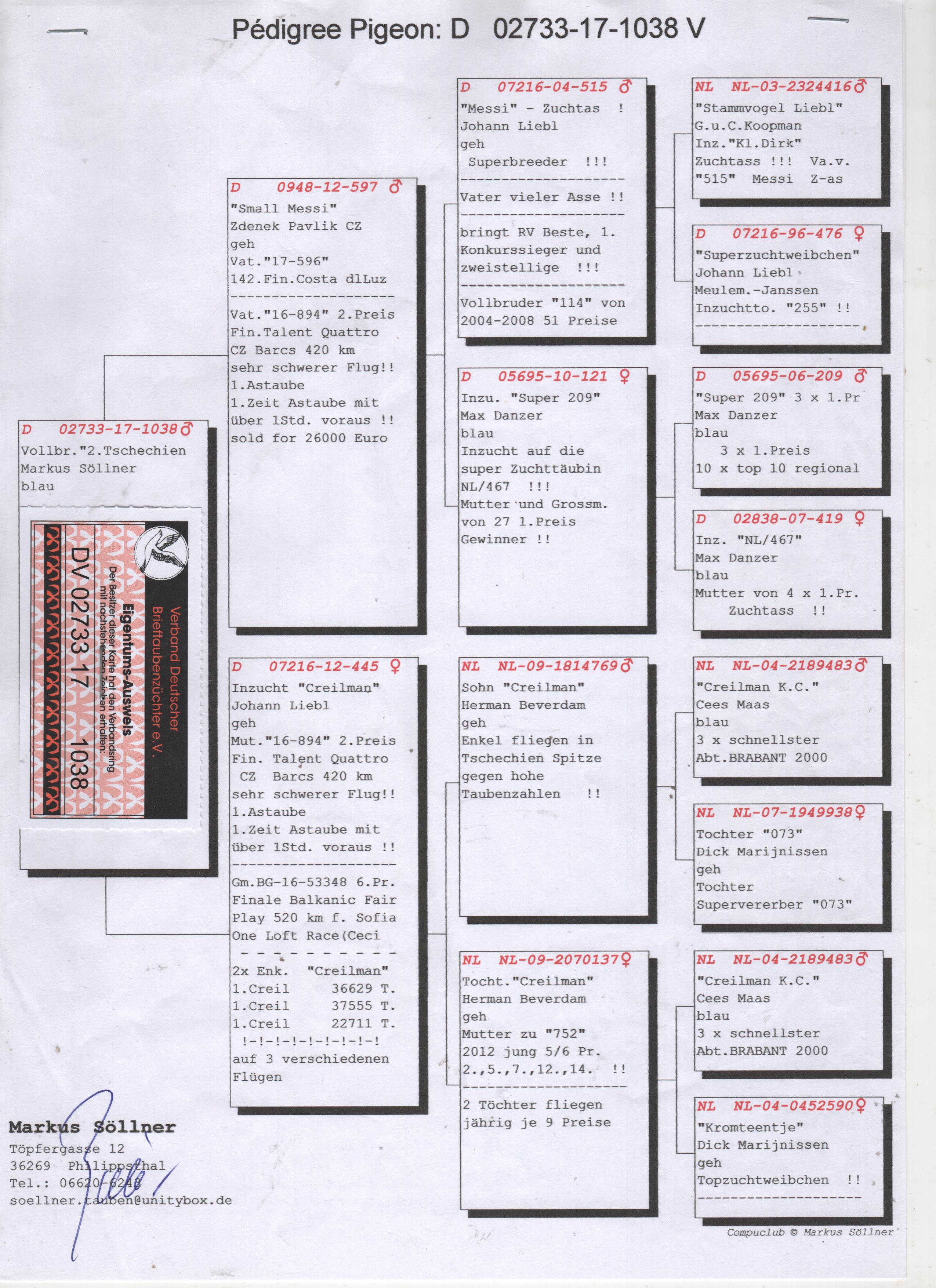 DV02733-17-1038 DİŞİ / BABASI SMALL MESSİ KARDEŞİ 1 AS & 2 FİNAL TALENT QUATRO