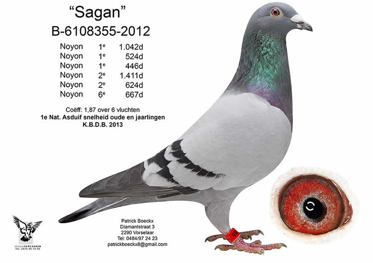 DV03220-21-232 / BABA INBREED SAGAN  ANNESİ INBREED SAGAN 