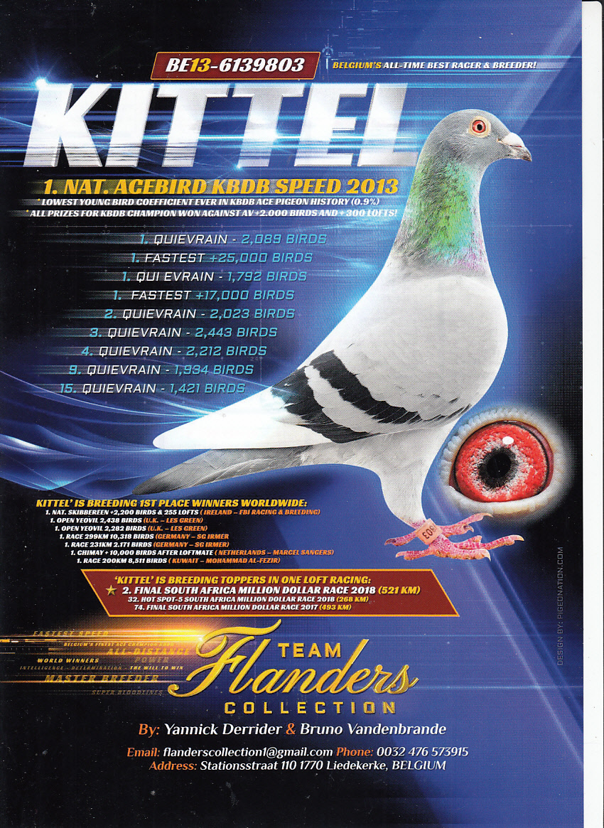 DV03220-21-238 / INREED SAGAN % INBREED KITTEL 