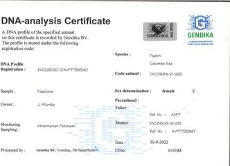 DV03684-21-265 DİŞİ / KARDEŞİ 4. FİNAL VIKTORIA FALLS 600 KM