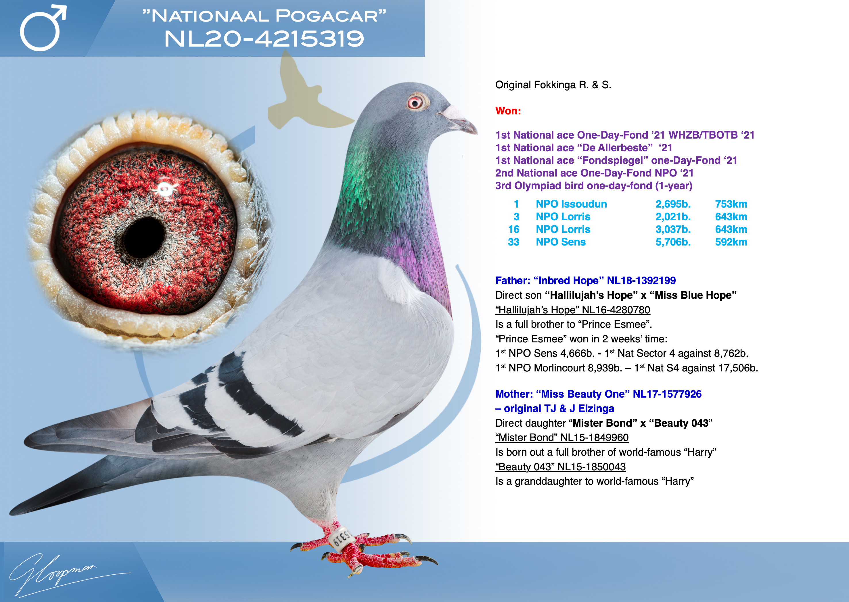 DV03716-25-1654 ERKEK / NATIONAAL POGACAR - MANU