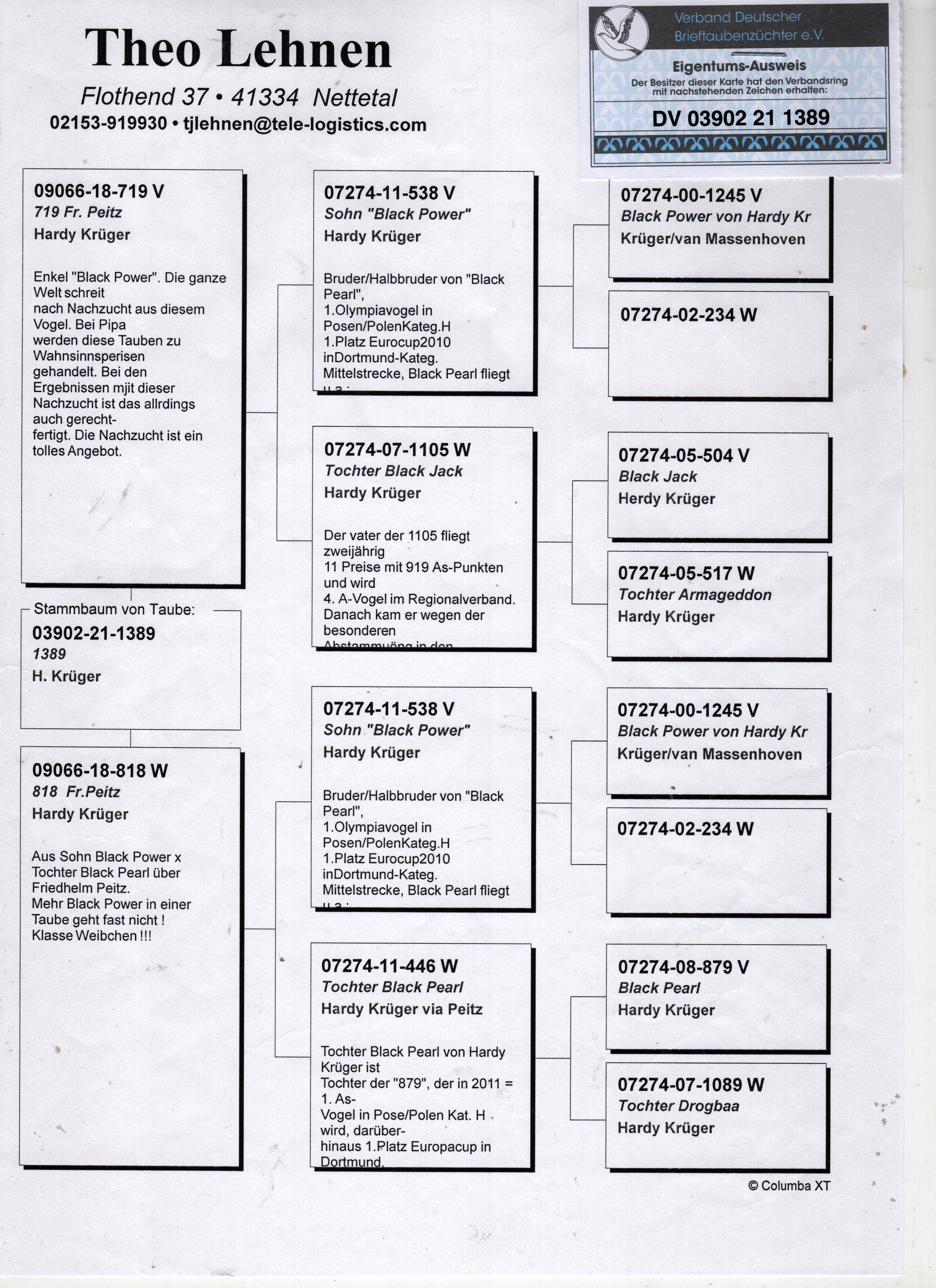 DV03902-21-1389 DİŞİ / HARDY KRUGER % 100