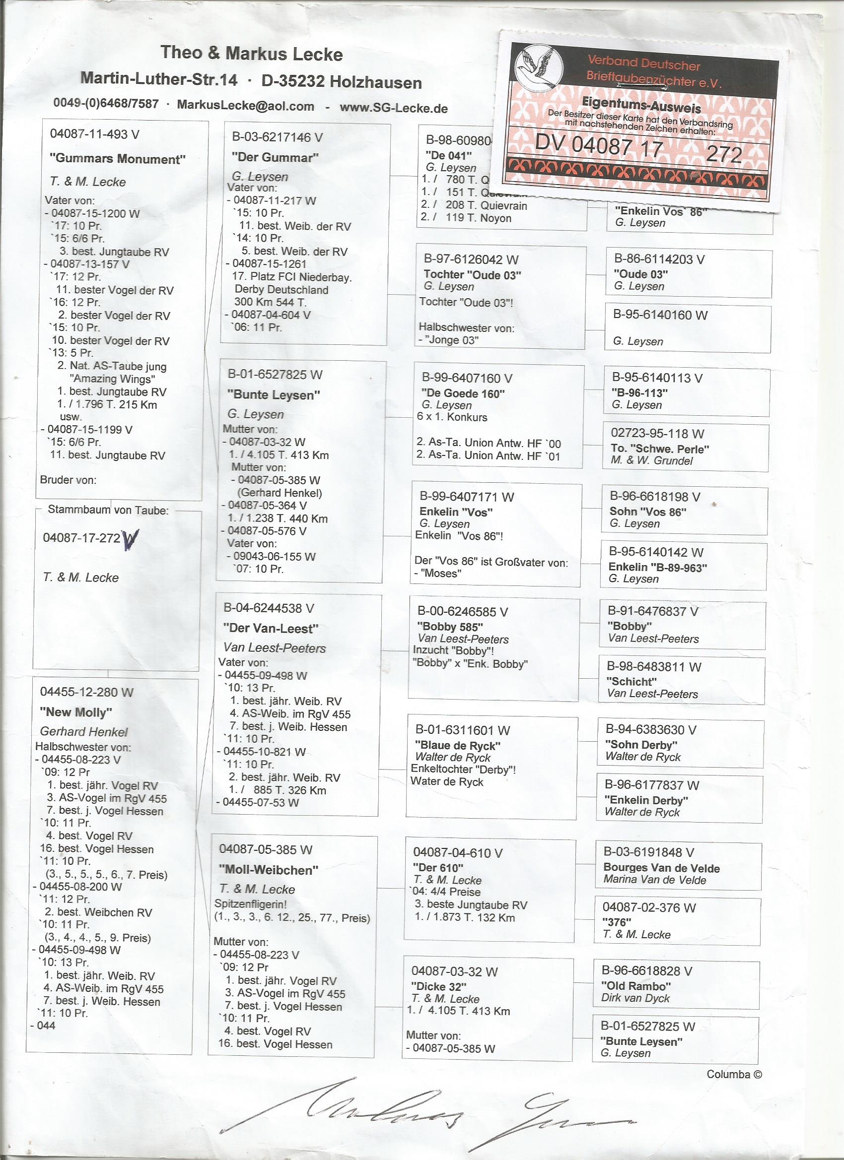 DV04087-17-272 ERKEK / BABASI G. LEYSEN % 100 ANNESİ VAN LEEST PEETERS