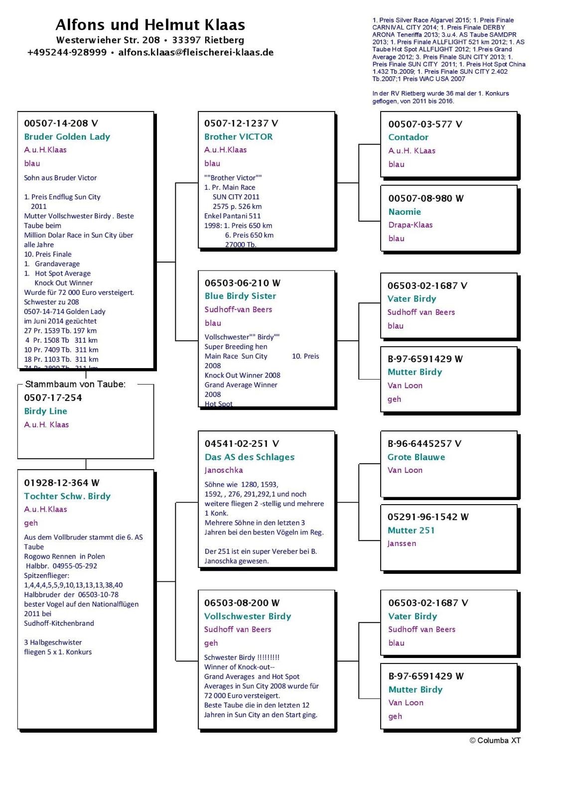 DV0507-17-254 ERKEK / ORJ ALFON KLAAS 