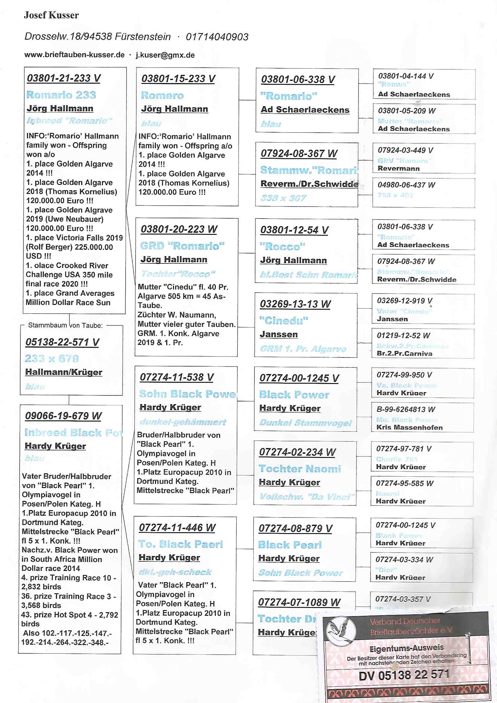 DV05138-22-571 ERKEK / BABASI INBREED ROMARIO ANNESİ  INBREED BLACK POWER