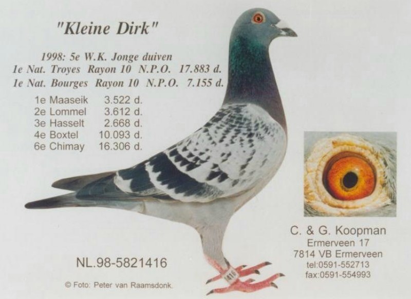 DV0516-18-1551 ERKEK / BABASI FLOR VERVOORT-PRANGE ANNESİ KOOPMAN % 100