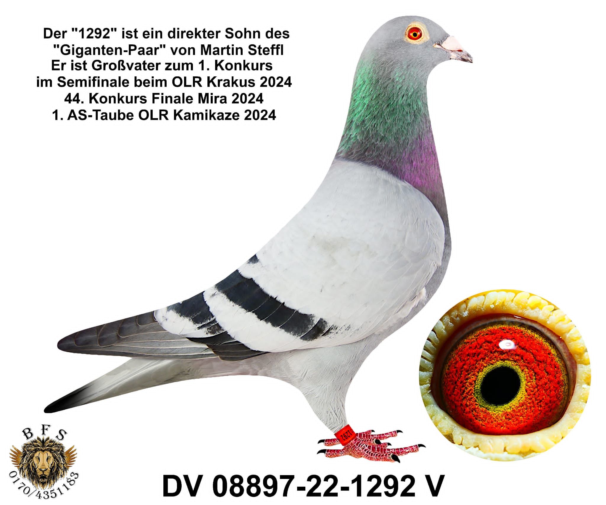 DV05425-24-0772 ERKEK / BABASI ALGARVE OGLU ANNESİ HARDY KRUGER ARMANI KIZI