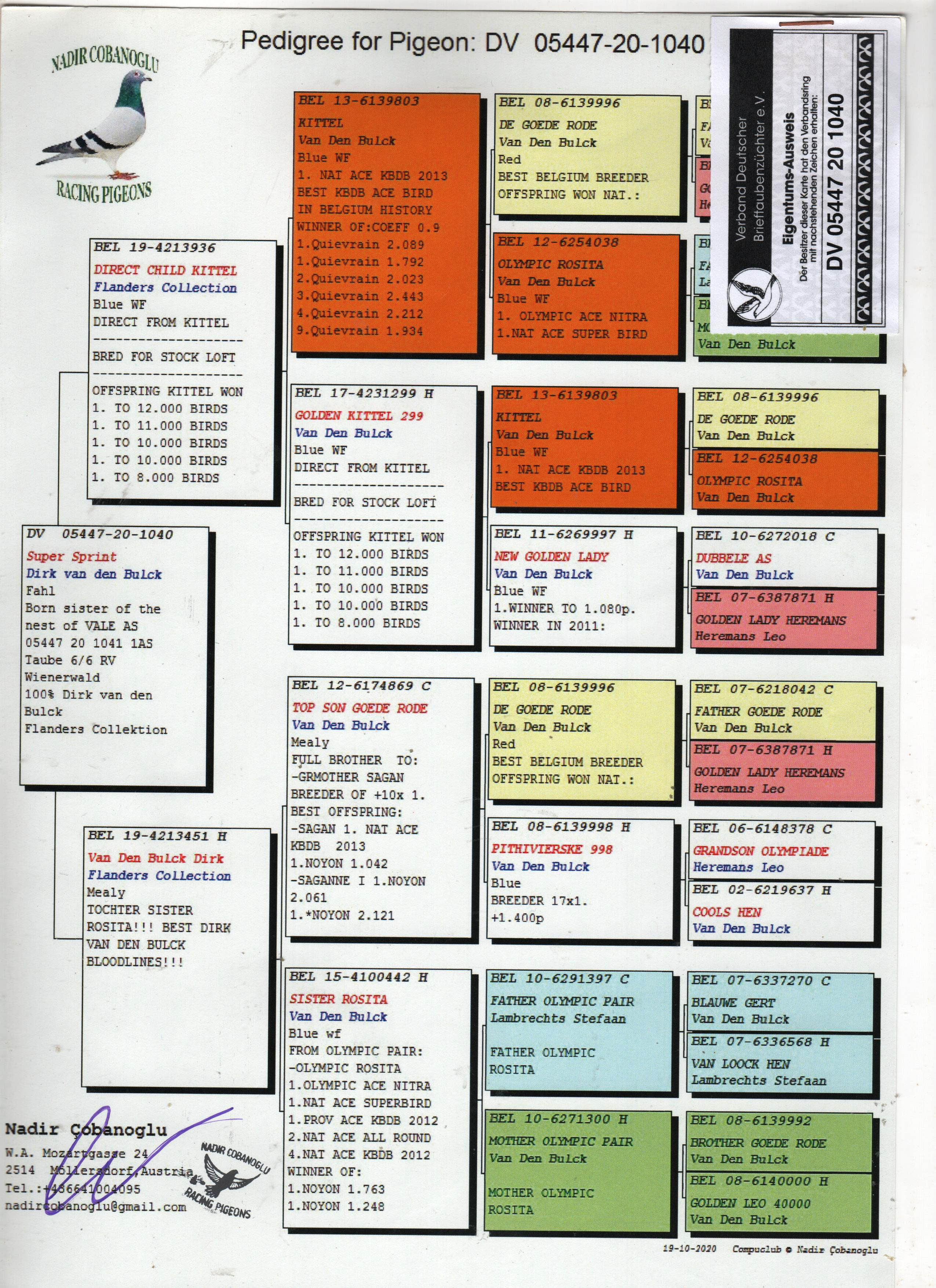 DV05447-20-1040 DİŞİ / DİRK VAN DE BULCK  % 100 TAM KARDEŞİ 1 ACE PİGEON 6/6