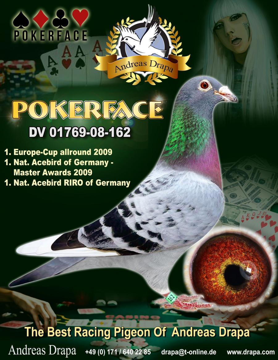 DV05447-20-1048 ERKEK / INBREED POKERFACE ( % 100 ANDREAS DRAPA )