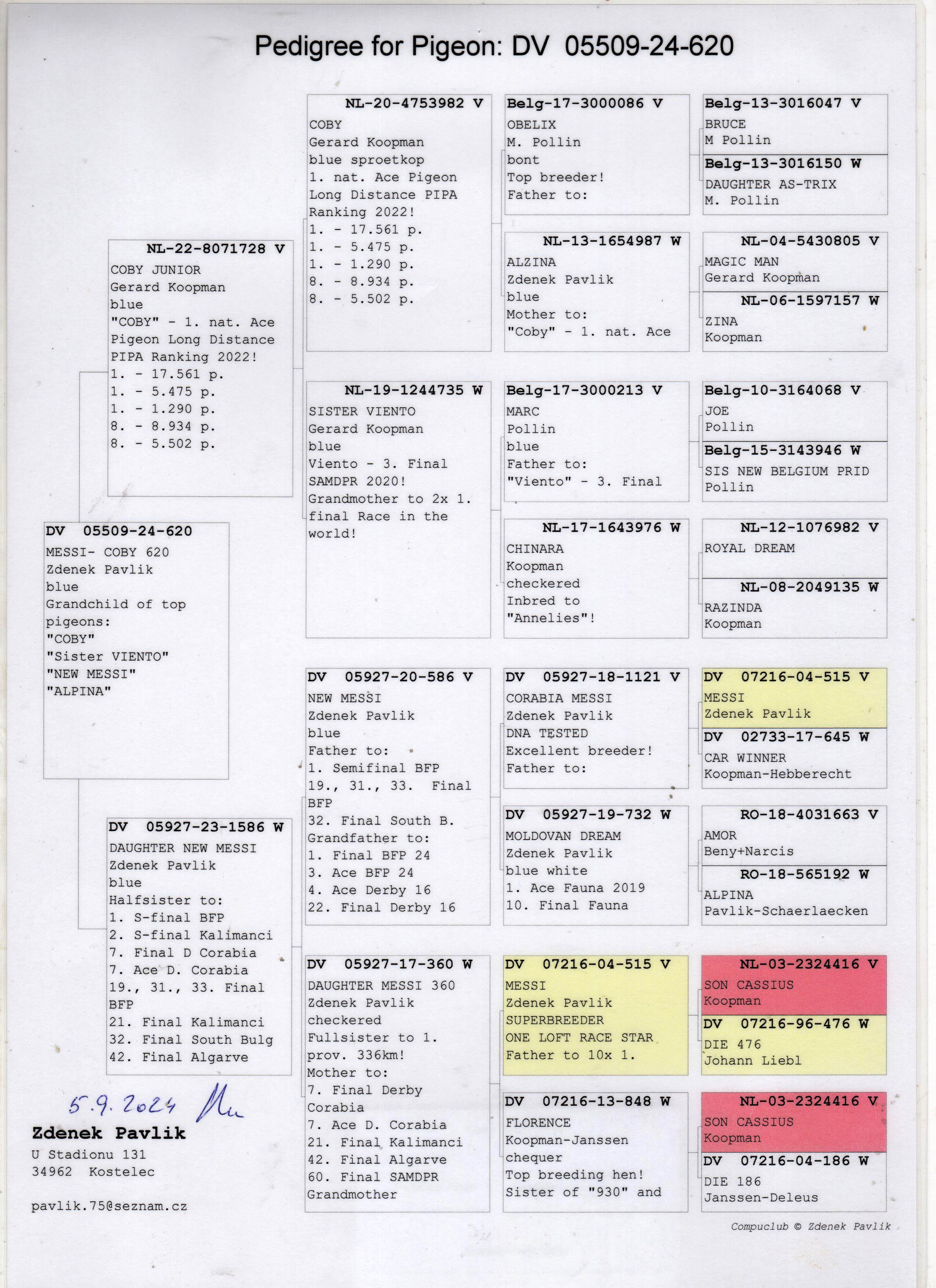 DV05509-24-620 ERKEK / KOOPMAN - COBY TORUNU 