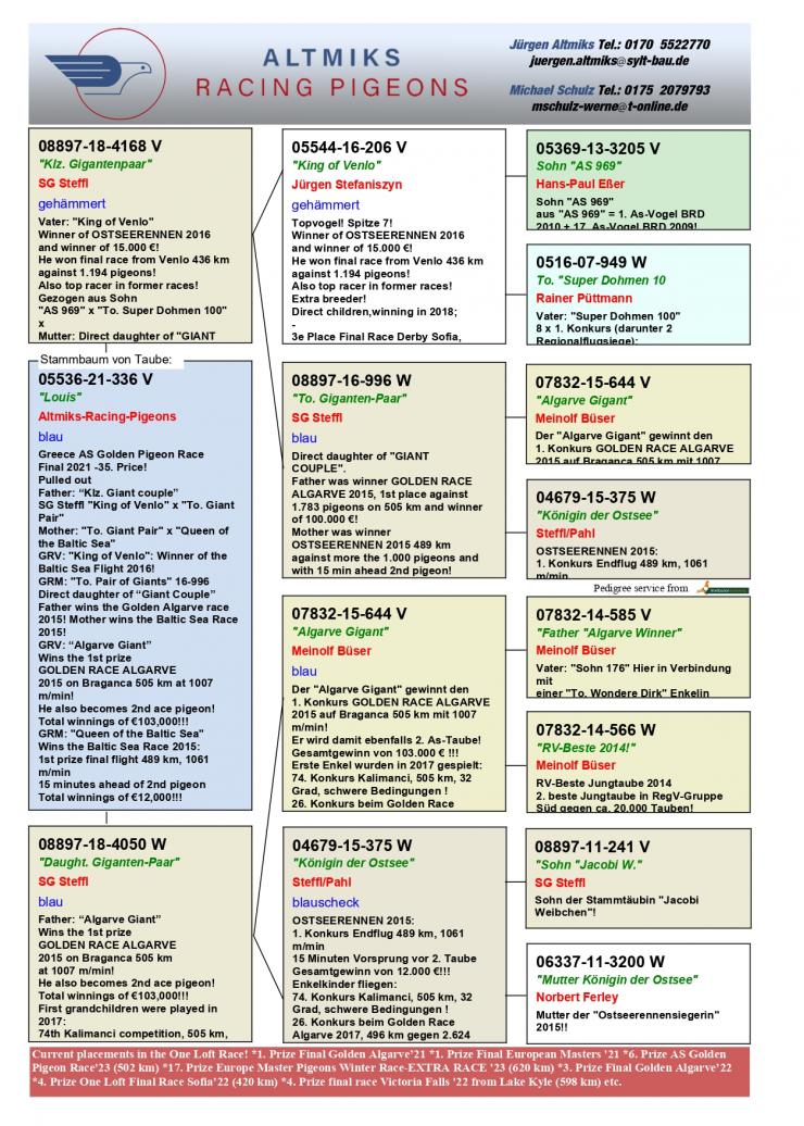 DV05536-21-336 ERKEK / INBREED GIANT PAIR KENDİSİ AS GOLDEN FİNAL 35 !!!