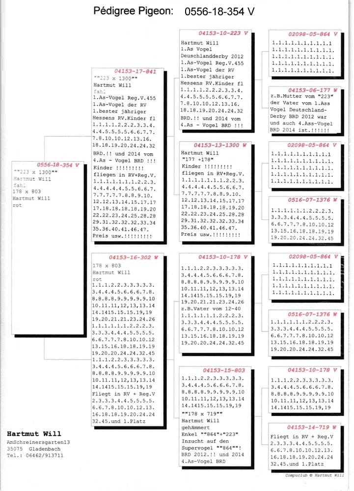 DV0556-18-354 ERKEK  / HARTMUT WILL 