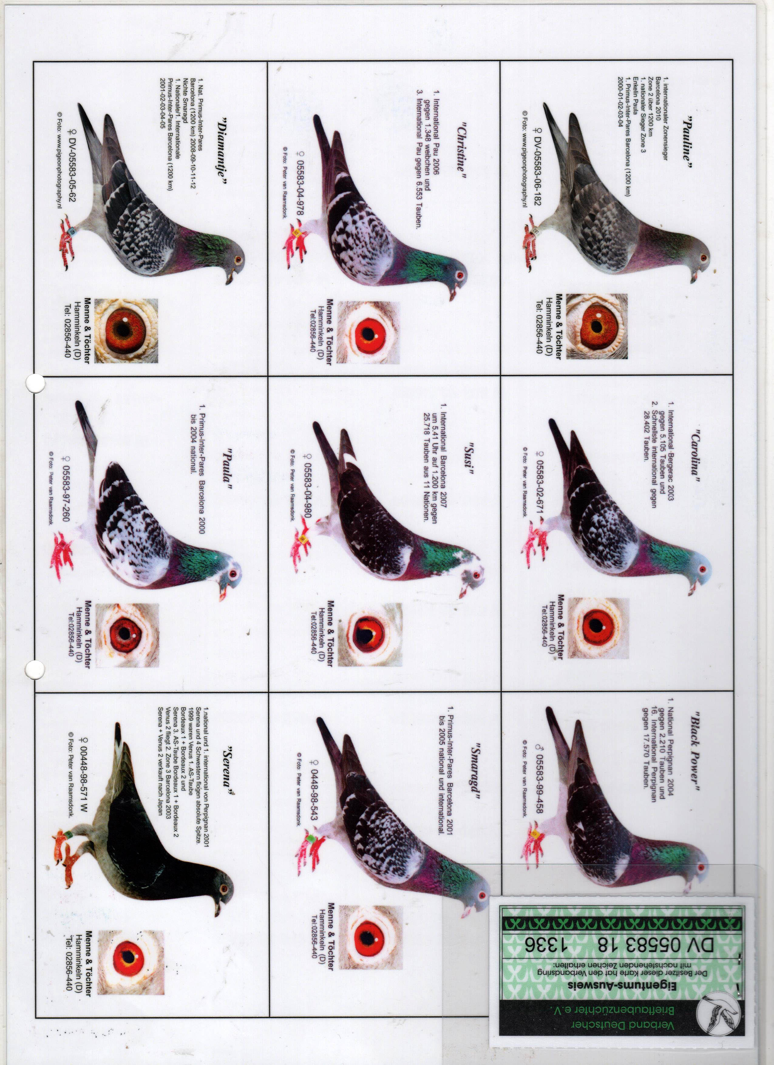 DV05583-18-1336 ERKEK - MENNE & TOCHTER