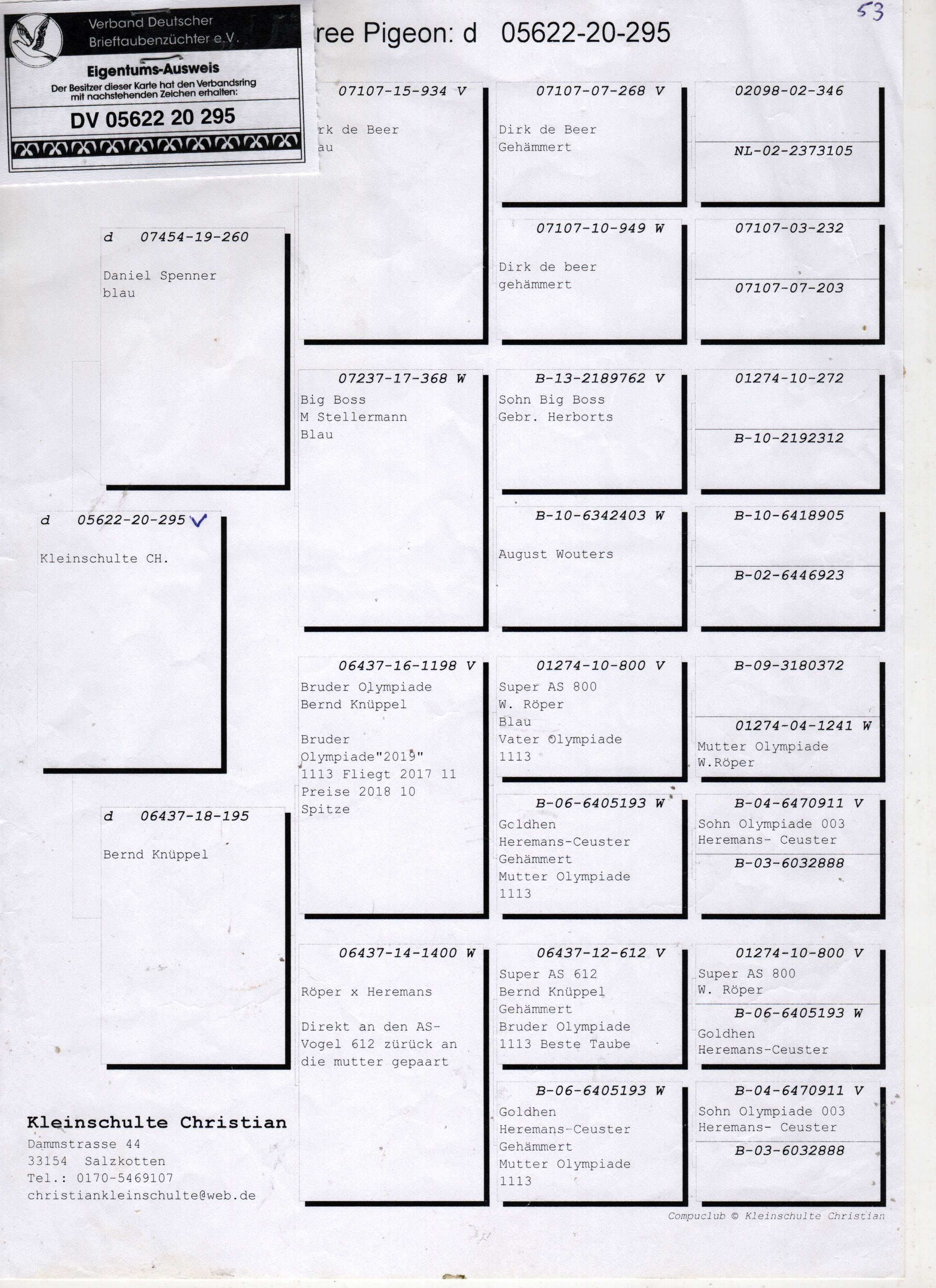 DV05622-20-295 DİŞİ / BİG BOSS - OLYMPİADE 003