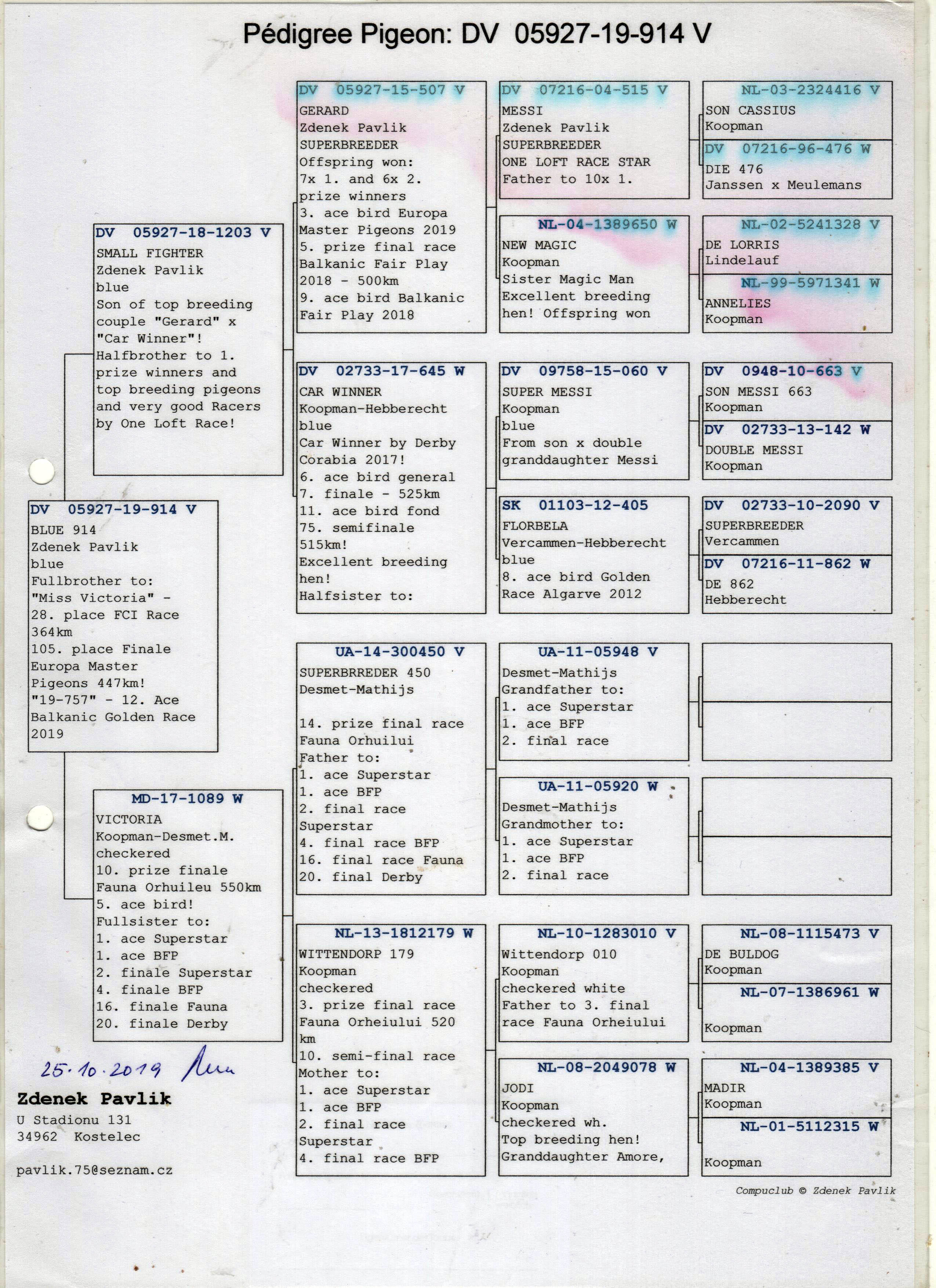 DV05927-19-914  ERKEK / ZDENEK PAVLIK TAM KARDEŞİ 12 ACE PIGEON BALKANİC
