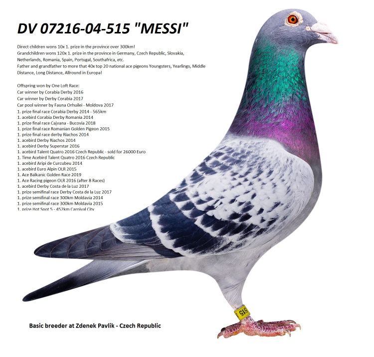 DV05927-20-613 ERKEK / NEW GERARD BABASI ANNESİ 68. FİNAL ALGARVE GOLDEN RACE