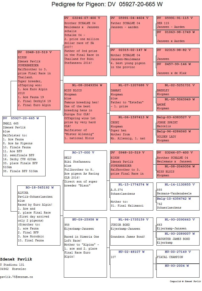 DV05927-20-665 DİŞİ / BISON X ALPINA
