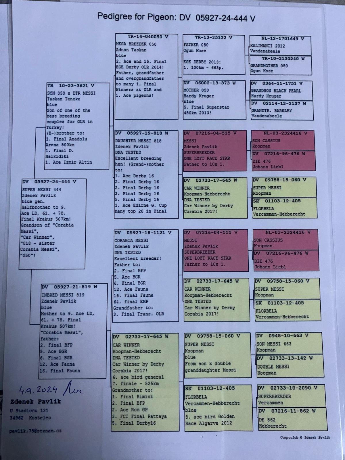 DV05927-24-444 ERKEK / 050 - CAR WINNER