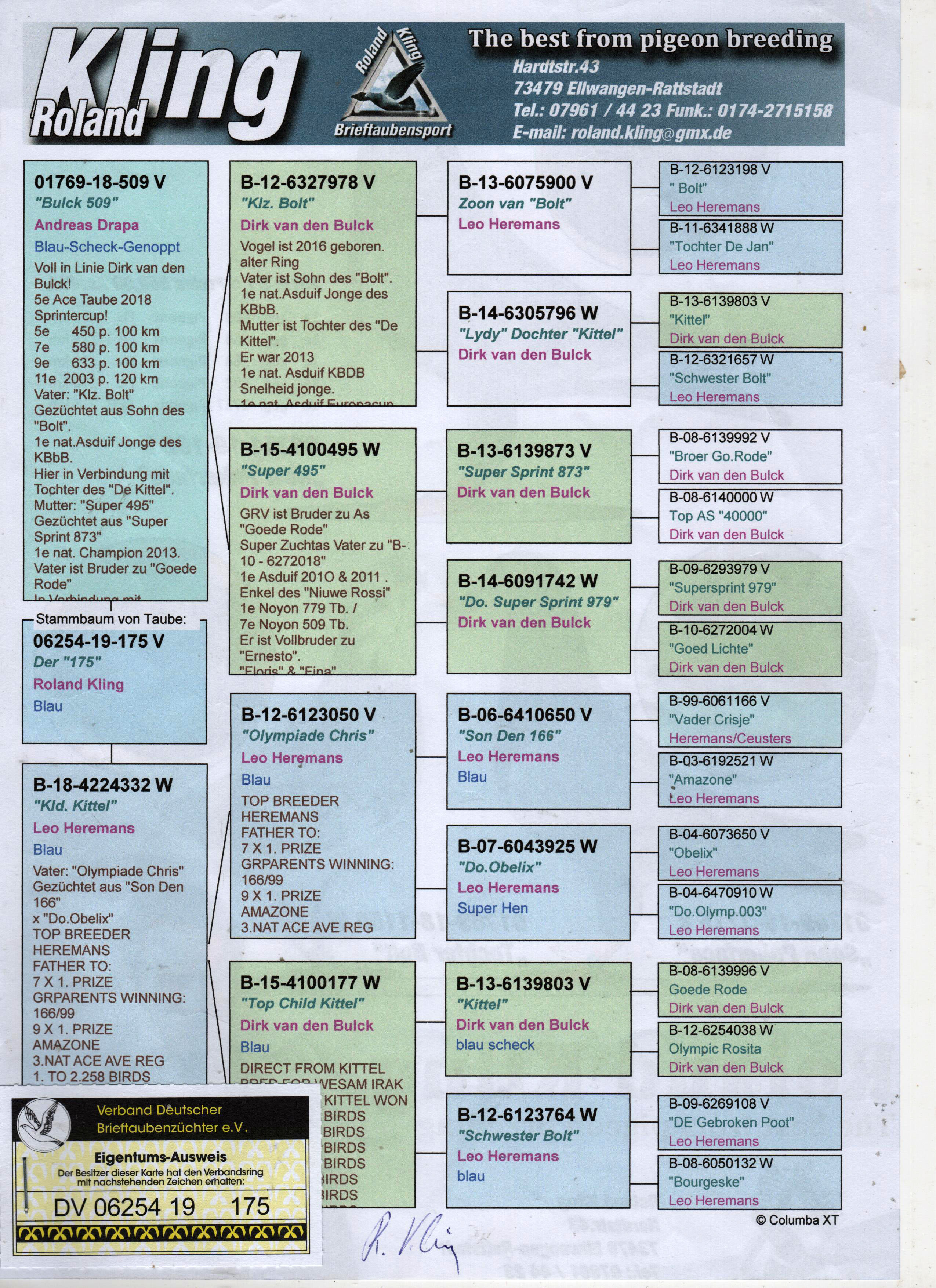 DV06254-19-175 ERKEK / DİRK VAN DE BLUCK - KITTEL - BOLT