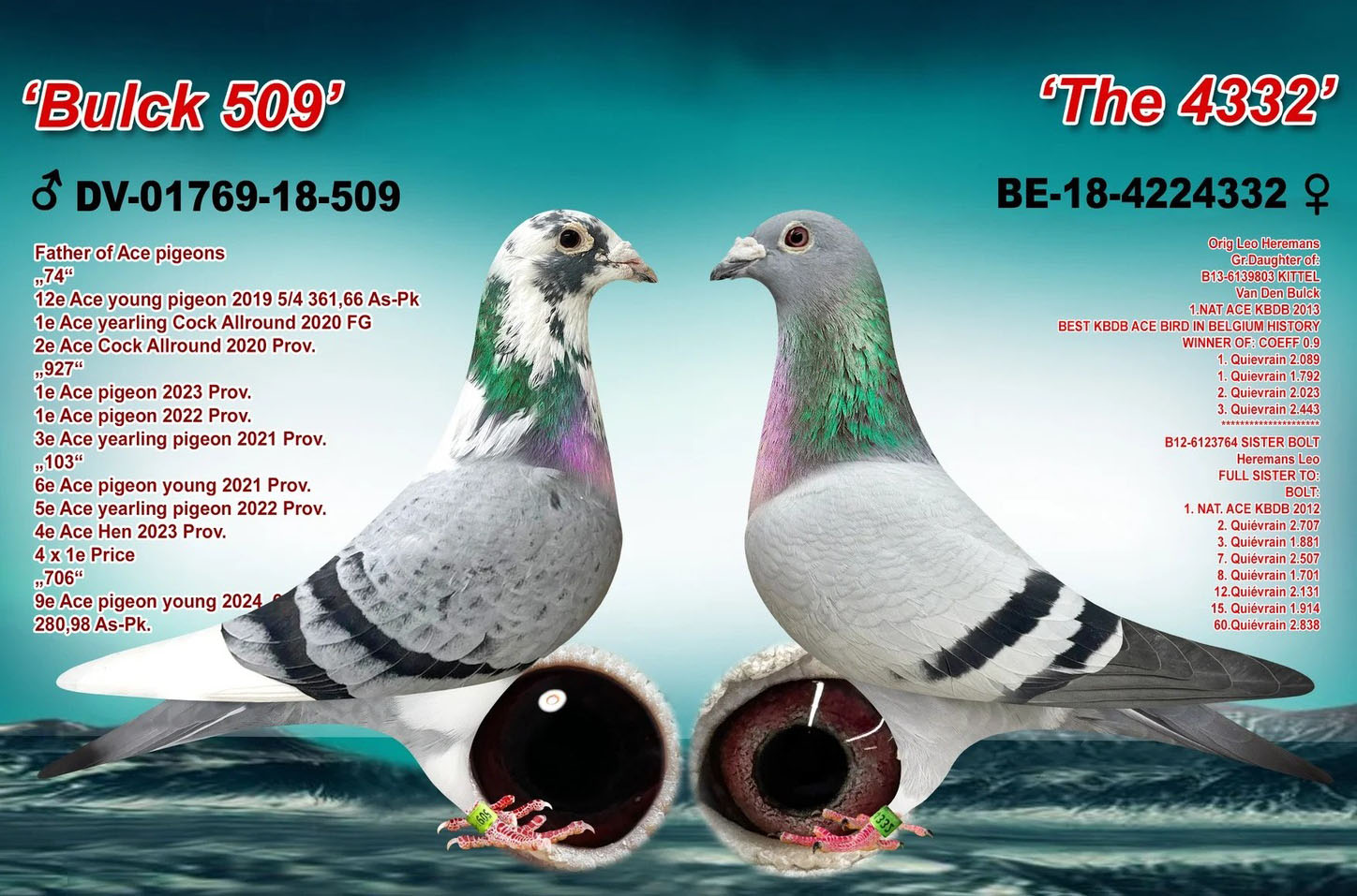 DV06254-19-175 ERKEK / DİRK VAN DE BLUCK - KITTEL - BOLT