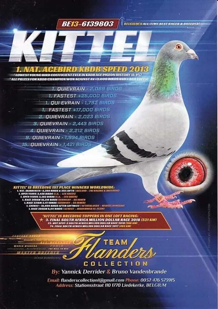 DV06254-19-175 ERKEK / DİRK VAN DE BLUCK - KITTEL - BOLT