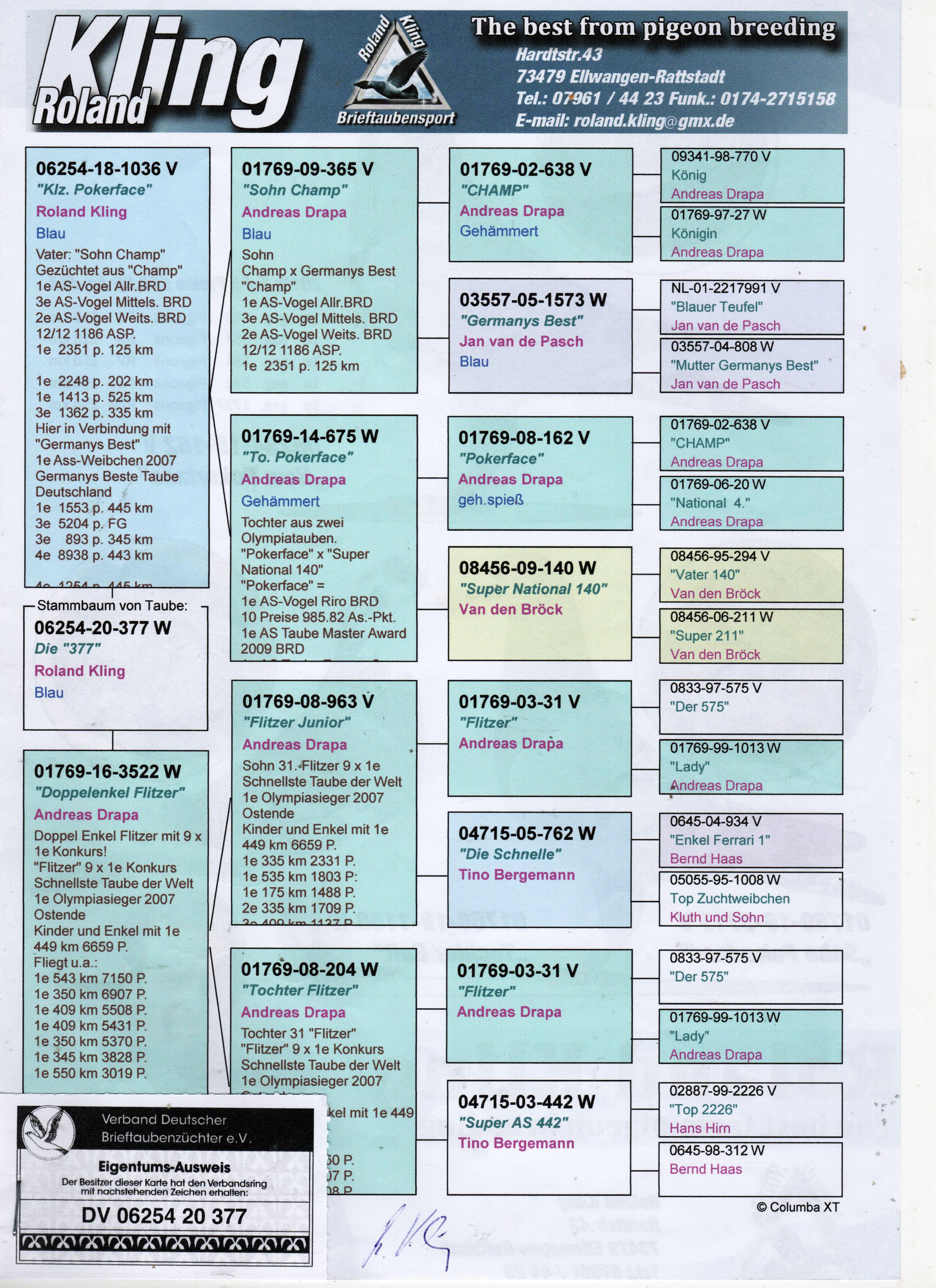 DV06254-20-377 DİŞİ / ANDREAS DRAPA % 100 POKERFACE - FLITZER 