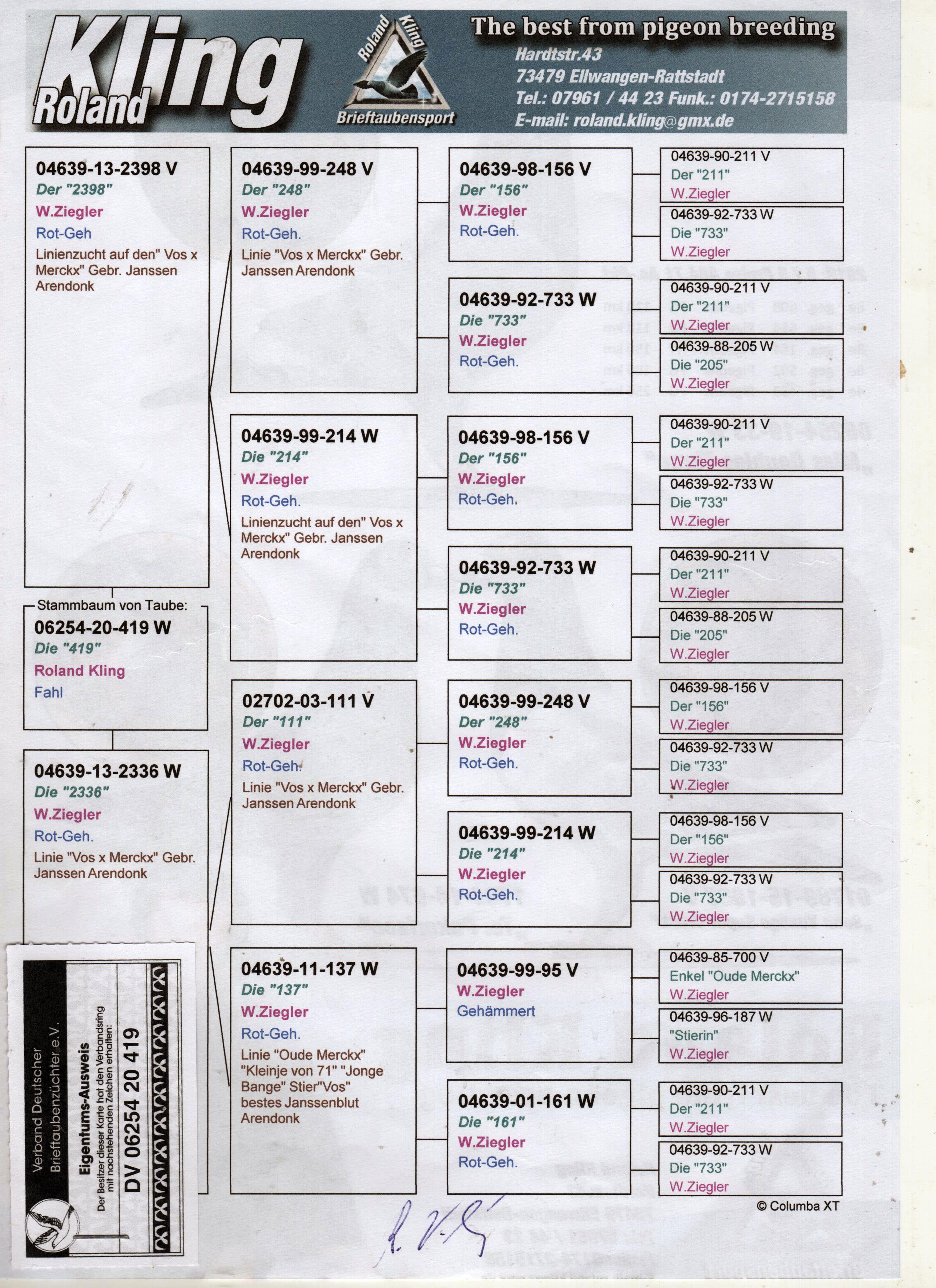 DV06254-20-419 DİŞİ / JANSSEN 